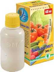 Байкал-Эм1 Арго